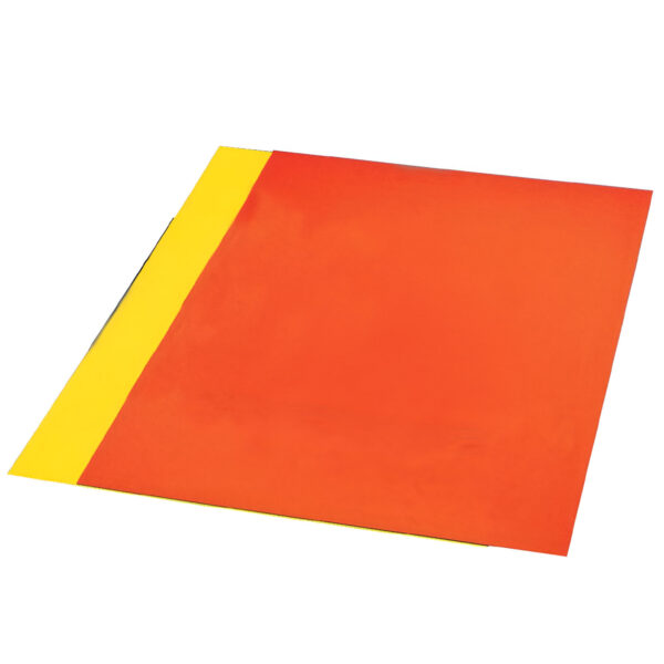 CARTON FLUORESCENT CU 2 FETE 60X42 CM -10 BUC