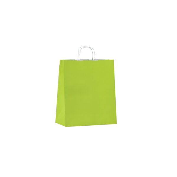 PUNGA HARTIE KRAFT MANER RASUCIT 22X10X31 CM 50 BUC VERDE
