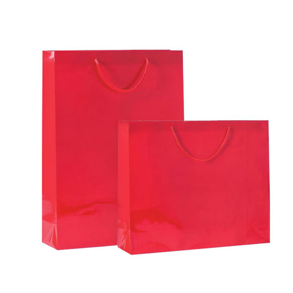 PUNGA HARTIE PLASTIFIATA MAT ROSU CUCORDON SET 12 BUC