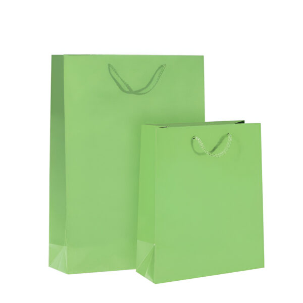 PUNGA HARTIE PLASTIFIATA MAT VERDE CU CORDON 12 BUC