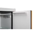 DULAP PRO SECURIZAT HAZMAT DEPOZITARE SUBTANTE PERICULOASE 60X60X195 CM - imagine 7