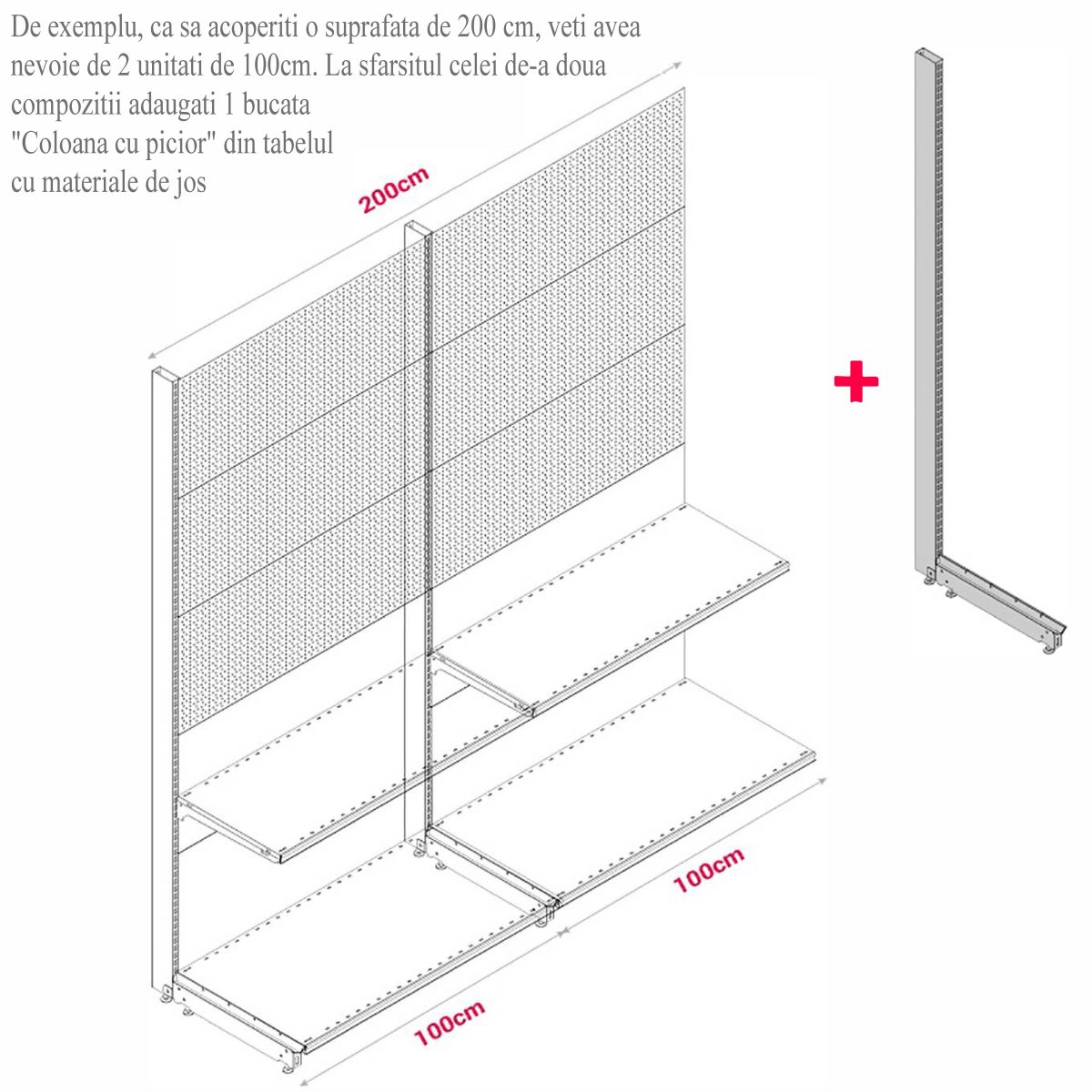 MODUL DE PERETE CU RL H211,5 L100 (1 RAFT L50+1 RAFT L40) 7016 - imagine 9