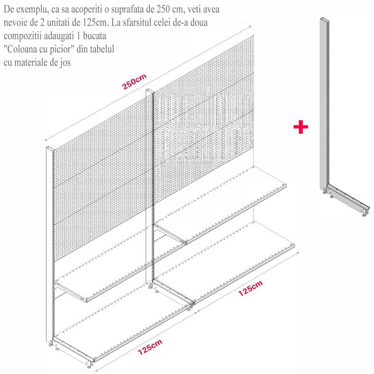 MODUL DE PERETE CU RL H211,5 L125 (1 RAFT L50+1 RAFT L40) 7016 - imagine 9