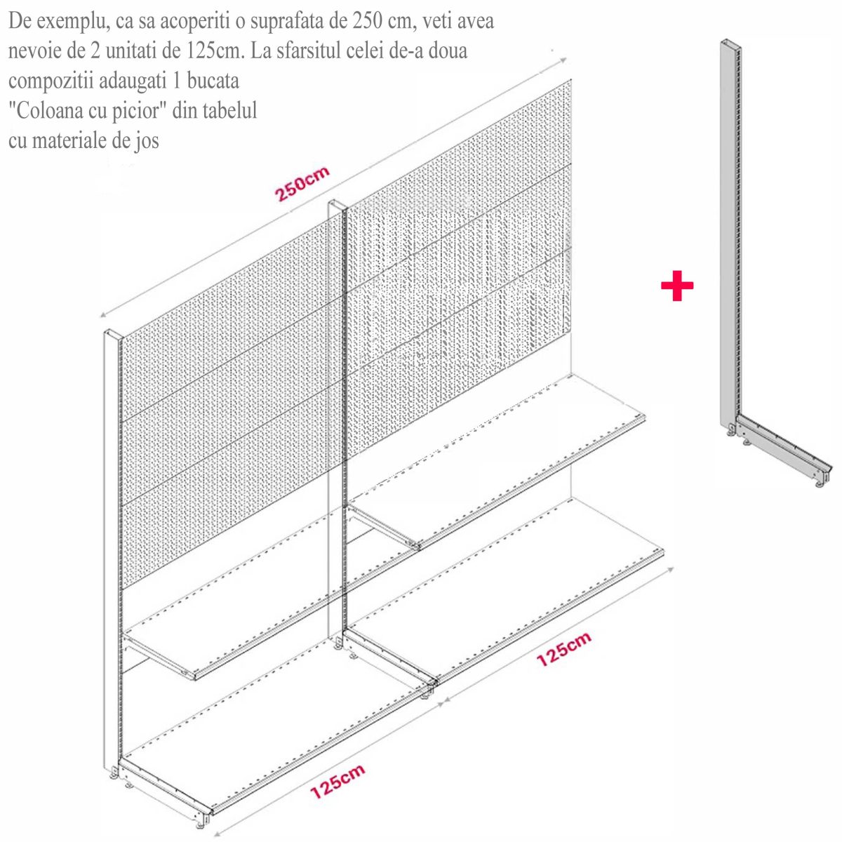 MODUL DE PERETE CU RL H211,5 L125 (1 RAFT L50+1 RAFT L40) 7016 - imagine 9
