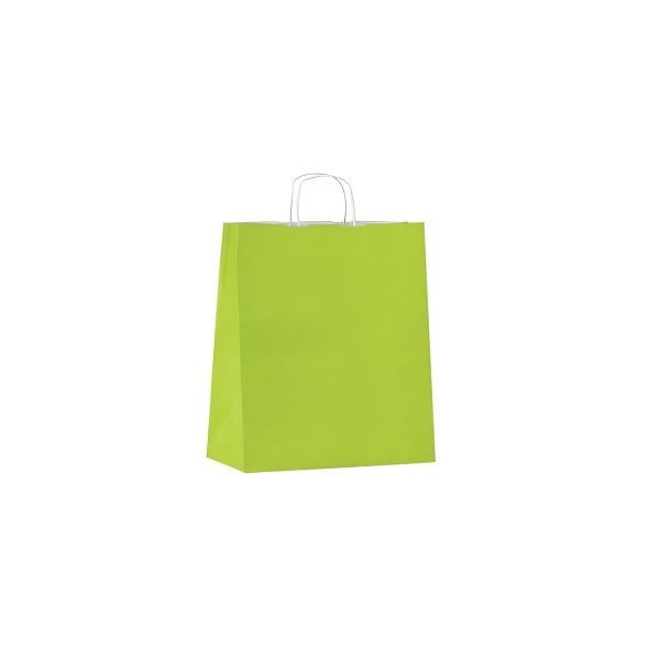 PUNGA HARTIE KRAFT MANER RASUCIT 22X10X31 CM 50 BUC VERDE