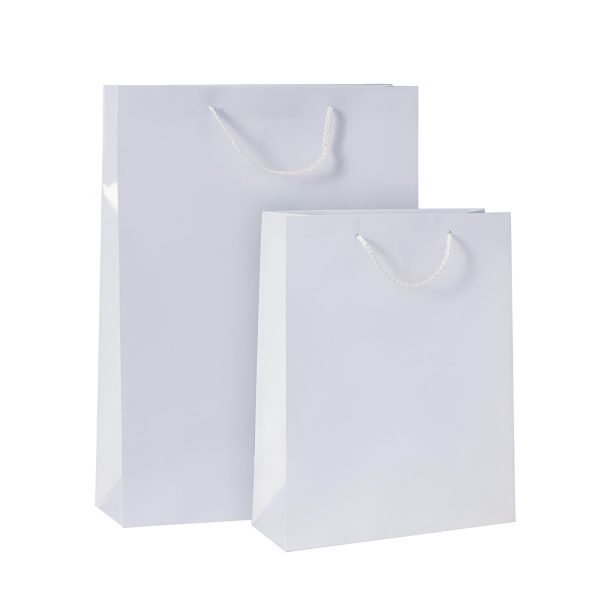 PUNGA HARTIE PLASTIFIATA MAT ALB CU CORDON 12 BUC